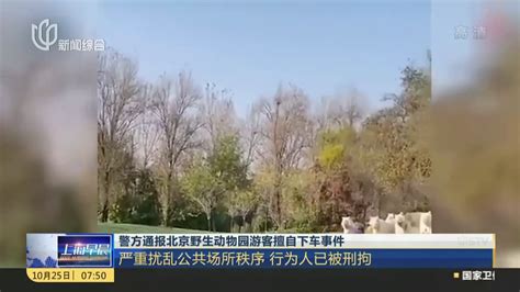 警方通报北京野生动物园游客擅自下车事件：严重扰乱公共场所秩序 行为人已被刑拘_凤凰网视频_凤凰网