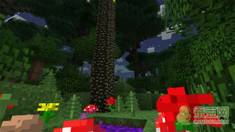 我的世界暮色森林MOD几种魔法树的介绍__ 单机攻略_跑跑车单机游戏网