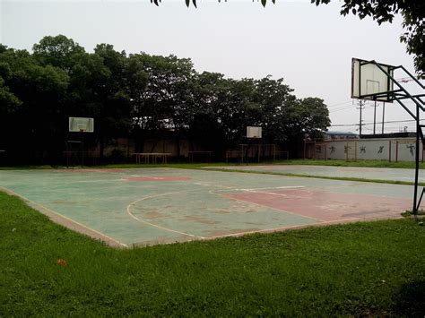 学校篮球场有多大-
