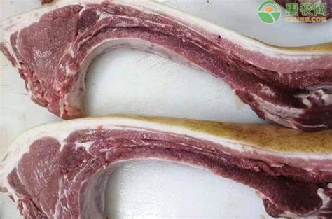 蔡当局开放含瘦肉精美国猪肉进口，台北市称将依规禁售