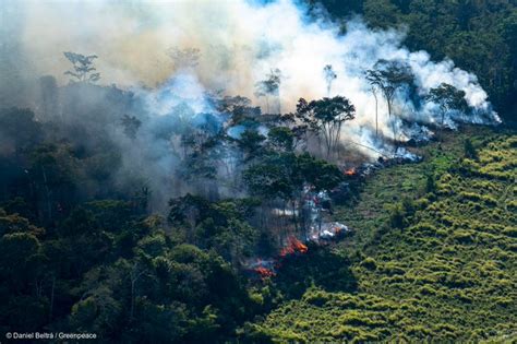 亚马逊热带雨林大火 马克龙呼吁聚焦“国际危机” | 地球日报