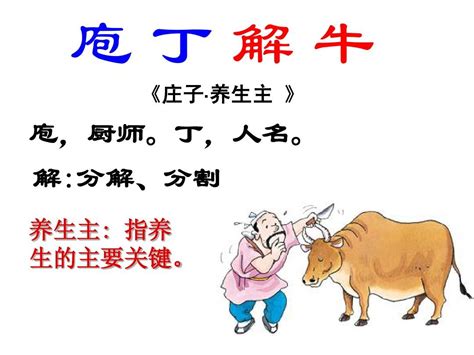 庖丁解牛（汉语成语）_摘编百科