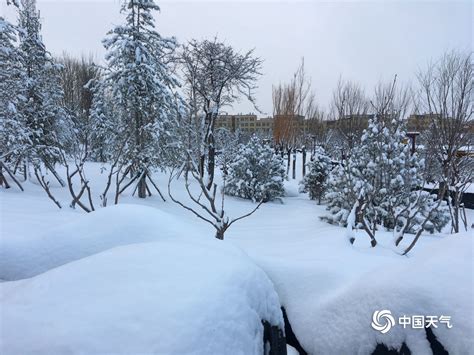暴雪预警信号-中国气象局政府门户网站