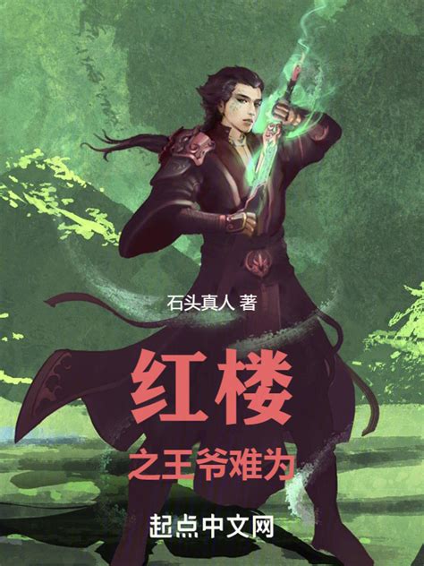 《红楼之王爷难为》小说在线阅读-起点中文网