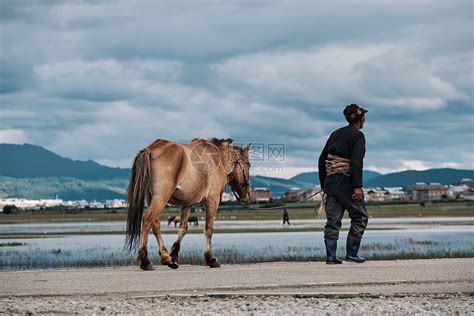 纳帕海景区牵着马走的农民高清图片下载-正版图片507700228-摄图网