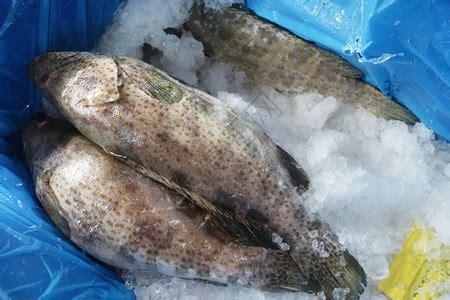 海鲜市场的冰鲜三文鱼高清图片下载-正版图片505489466-摄图网