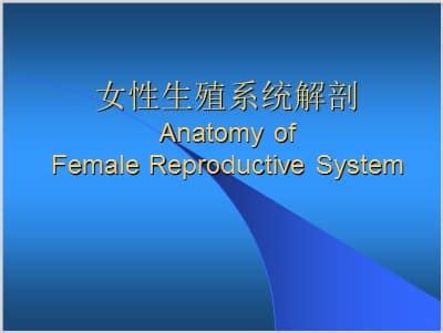 如图为女性生殖系统示意图.据图回答:(1)女性主要生殖器官是[ ] .其功能是产生卵细胞和分泌雌性激素．(2)当精子到达[3] 后.一旦遇到卵 ...