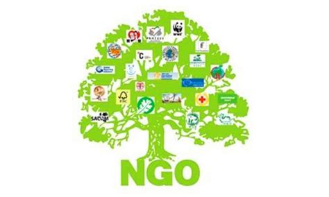 中国环境客户端：这家中国NGO的研究建言连续5年被联合国采纳！一起来看今年的《政策建议报告》说了啥 - 全球能源互联网发展合作组织