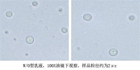 显微相机在观察化妆品乳化体系中的应用_北京显微镜|显微熔点仪|专业生产-北京上六光仪器有限公司