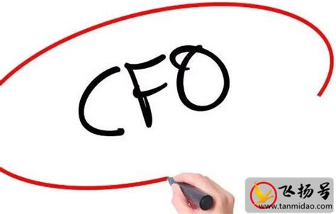 CFO是什么意思？还有其他公司职位简称-百度经验