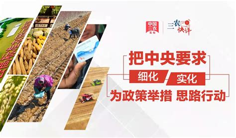 #三农快评 中央经济工作会议划重点，明年三农工作这样干