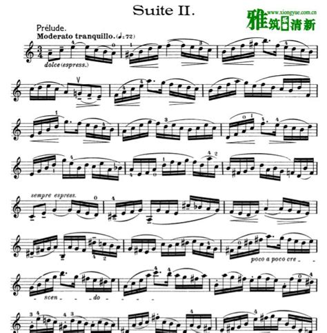 巴赫d小调第二号无伴奏大提琴组曲小提琴独奏谱 BWV1008
