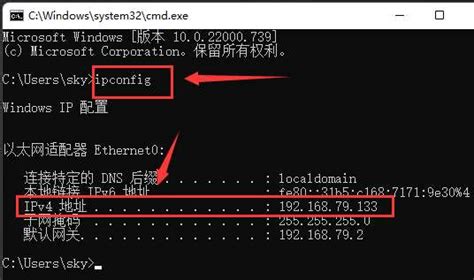 Windows11怎么看网络ping值-Windows11测试网络地址延迟步骤介绍 - 标客网