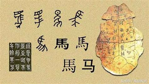 汉字的历史演变_山东频道_凤凰网