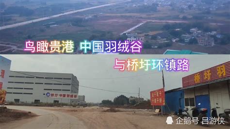 广西贵港市2023年普通高考报名和现场确认注意事项