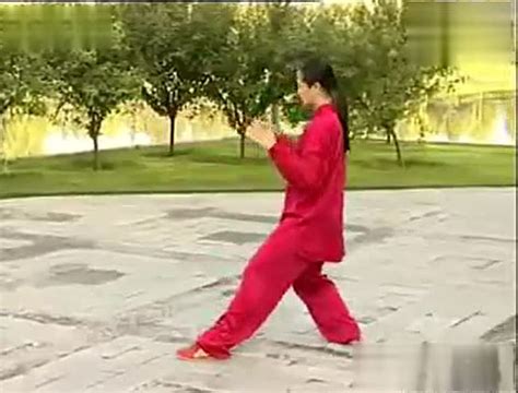 吴阿敏杨式40式太极拳教学全套背向示范_腾讯视频