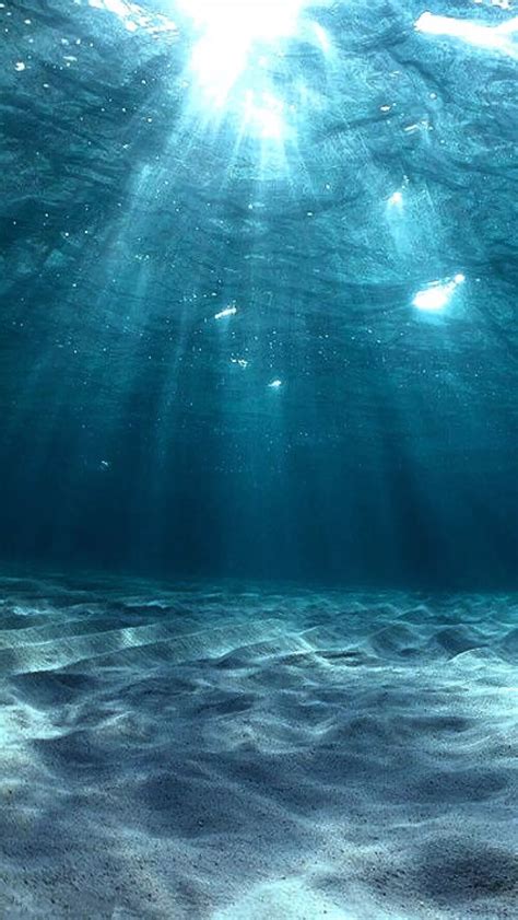 海洋水下景观水下拍摄的蓝海背景图像高清图片下载-正版图片300351519-摄图网