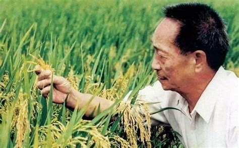 关于“杂交水稻之父”袁隆平的作文素材大全_学习力