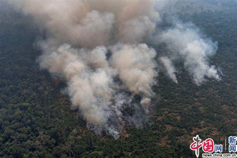 巴西亚马逊雨林大火又烧起来了_手机新浪网
