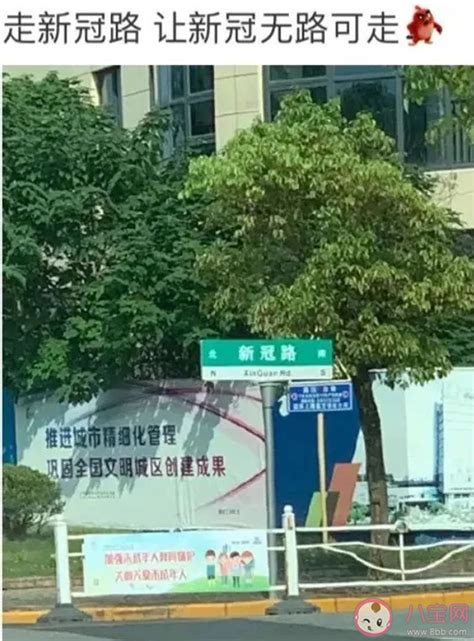 上海新冠路为什么火了 想不想去上海新冠路走一走_知秀网