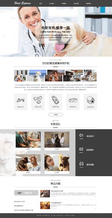 宠物医院网站模板-宠物/治疗美容网站模板-正版建站