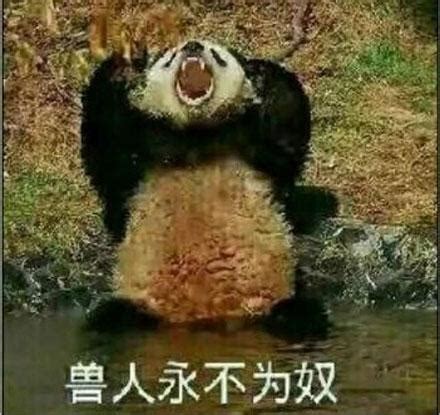 咒术回战：熊猫身世曝光，一体三魂战力不俗_战斗