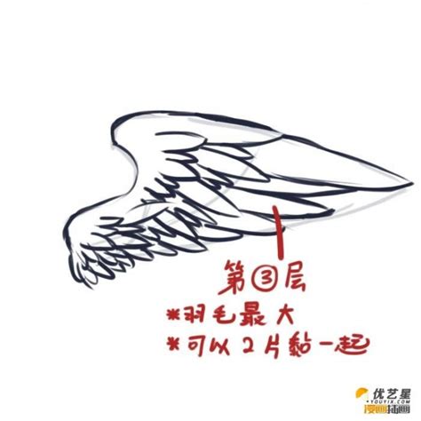 鸟儿的翅膀的简单绘画步骤 可爱鸟儿的翅膀的漫画插画画法教程[ 图片/8P ] - 才艺君
