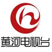 山西卫视台标志logo图片-诗宸标志设计