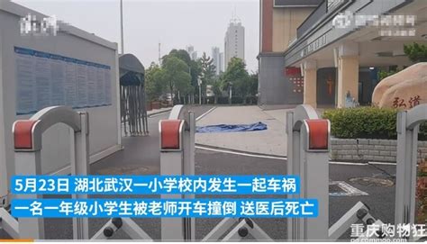 武汉一小学生在校内被老师开车撞倒送医后身亡，老师已被警方带走-重庆教育-重庆购物狂