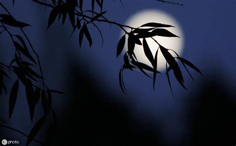 写月亮的古诗有哪些（赞美月亮的诗句分享） | 一夕网