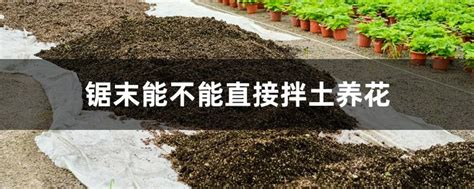 营养土养花专用通用型花土花卉多肉营养土育苗有机种植土疏松透气