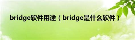 「WiFi Bridge下载安装」2024电脑最新版-WiFi Bridge官方免费下载安装