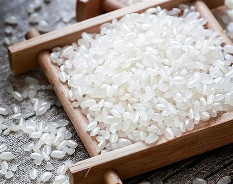 东北珍珠米【价格 批发 公司】-陕西谷塬农业科技有限公司
