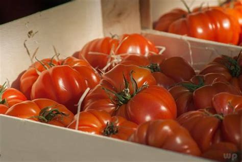 西红柿的功效与作用及食用方法_西红柿的营养价值解析-聚餐网