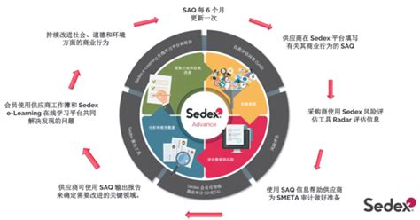 SEDEX认证 - 深圳易规云科技有限公司