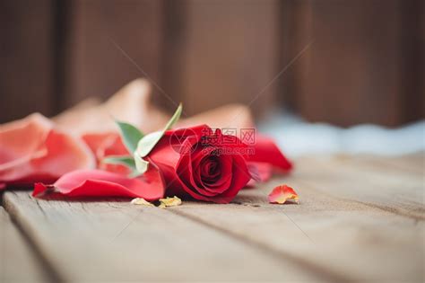 木板上的浪漫玫瑰花高清图片下载-正版图片600480064-摄图网