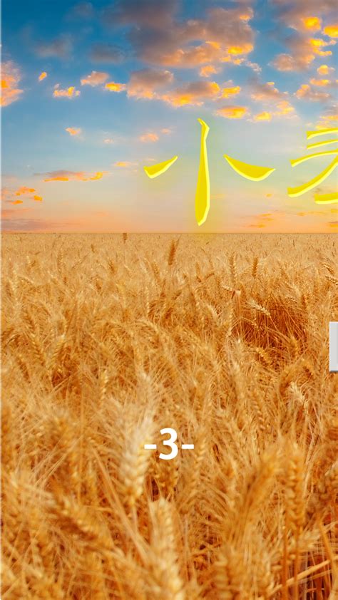 小麦的收割季3-麦收时节“丰”景美 - 知乎