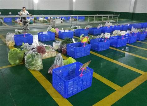 蔬菜配送公司的订单环节是怎么样的?-上海中膳食品科技有限公司