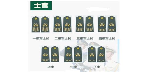 中国人民解放军军衔制 军衔军职对应表_华夏智能网