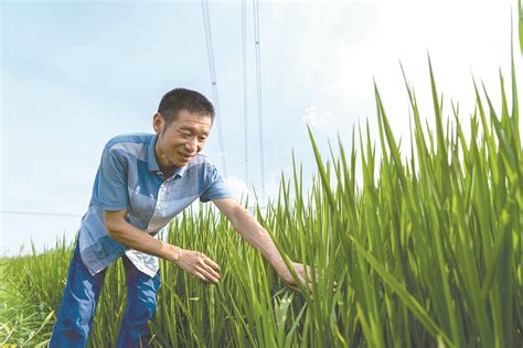 2020年中国农民专业合作社发展情况分析：农民专业合作社数量达19.25万个[图]_智研咨询