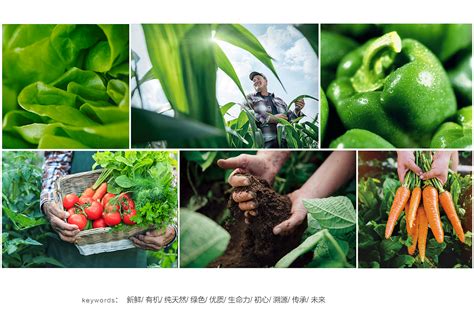 30+国外高大上农业品牌设计、农产品包装设计欣赏-上海尚略农业品牌策划农产品包装设计公司分享