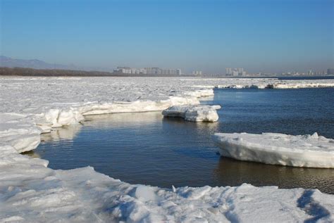 大连黄渤海海冰融化 形成海面浮冰 - 海洋财富网