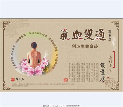 中医美容养生馆海报设计模板素材-正版图片400337745-摄图网