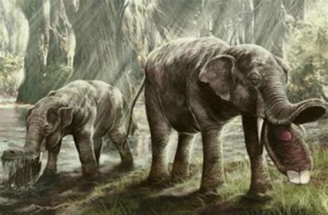 古菱齿象是体型最大的大象 一头成年象可达10-14吨_探秘志