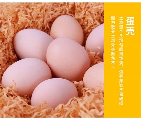【饪食堂竹林散养土鸡蛋初生蛋30枚】-惠买-正品拼团上惠买