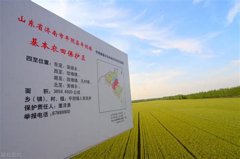 农业农村部种植业司领导到农安调研