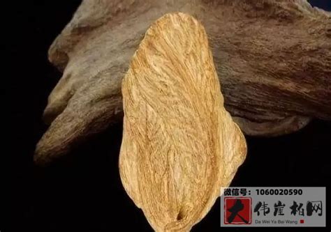 世界上最轻和最重的木头分别是什么 | 冷饭网