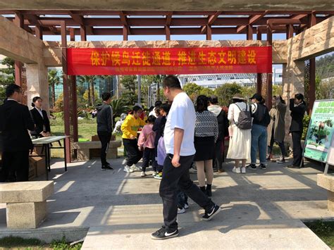 “民间民俗·多彩浙江”第十二届中国·洞头妈祖平安节活动开幕