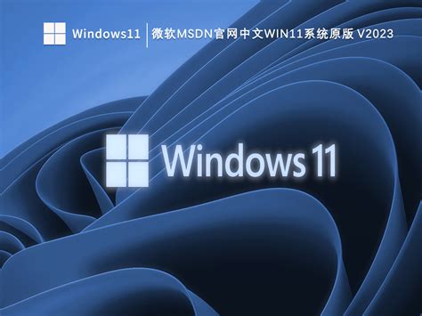 微软msdn官网下载Win11版原版_微软msdn官网中文Win11系统原版V2023-纯净之家