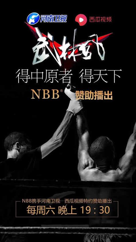 战略再升级，NBB携手河南卫视《武林风》再创品牌新高度_NBB品牌官方网站